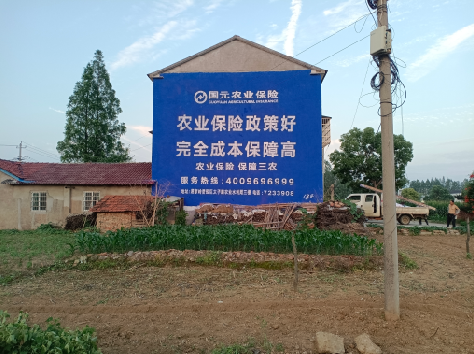 金堂墙体广告的优劣势你知道吗？